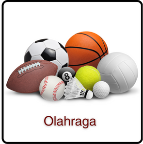 YANG PERTAMA DI INDONESIA (6)